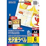 コクヨ カラーレーザー カラーコピー ラベル 光沢 6面 100枚 LBP-G1906