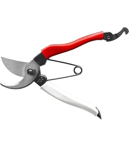 【フォンフォン】岡恒　玉葱鋏36丁 フォンフォン様専用】岡恒 玉葱鋏36丁 Amazon | 岡恒 玉ねぎ鋏