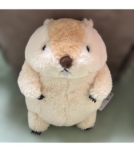 マーモットのもっとっと ULTRA BIGサイズ Amazon.co.jp: マーモットのもっとっと ぬいぐるみ ウルトラBIG