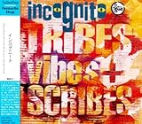 トライブス、ヴァイブス+スクライブス