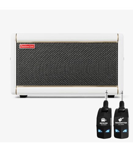 Amazon.co.jp: beyond/beyond acoustic wired 2S 真空管エレアコ用