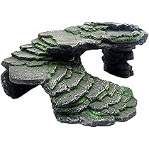 CELLTER【BIG！】LLサイズオリーブ　爬虫類両生類小動物シェルター隠れ家 Amazon | Hyack レオパ シェルター 爬虫類 亀 陸地 隠れ家