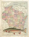 Apple Creek Wisconsin StateマップRainbow Trout無制限Fly Fishingアートプリント11 x 14 BrookブラウンCabin装飾画像