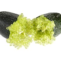 フィンガーライム2品種セット フィンガーライム2品種セット