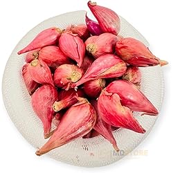 Amazon.co.jp: MDSTORE ベトナム産ヒカマ・Vietnam Fresh Jikama・Cu