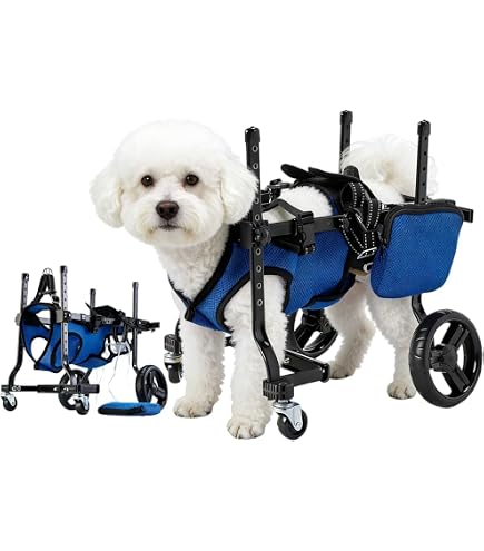 犬用4輪車椅子 歩行器 8キロ以下 オーダーメイド Amazon.co.jp: 犬用4輪車椅子 歩行器 8キロ以上 15キロ未満 オーダー