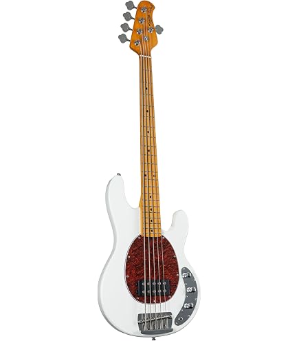 Amazon | Sterling By Musicman SUB STINGRAY RAY5 WALNUT SATIN 5弦