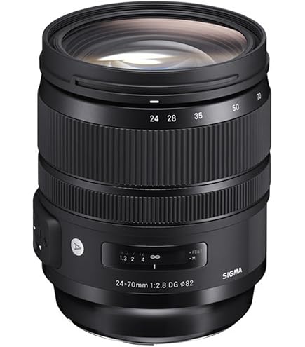 Amazon.co.jp: SIGMA 17-70mm F2.8-4 DC MACRO OS HSM ニコン用