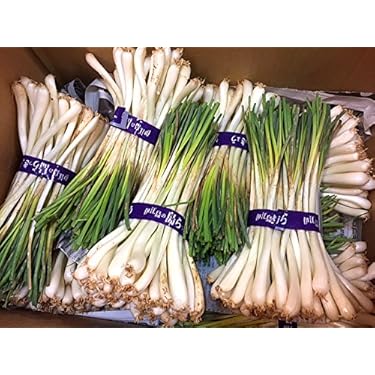 Amazon.co.jp 人気ギフトランキング: らっきょう で、ギフトの