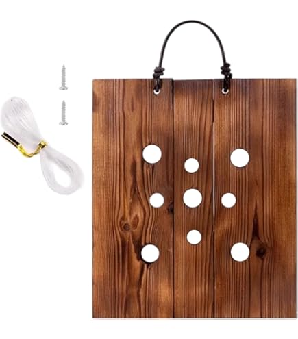 Amazon.co.jp: ビカクシダ ステンレスバスケット 3個 : DIY・工具