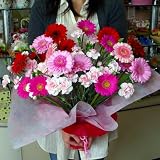 866【お祝い 誕生日 ギフト】カーネーション・ガーベラ 赤・ピンク系ミックスの花束