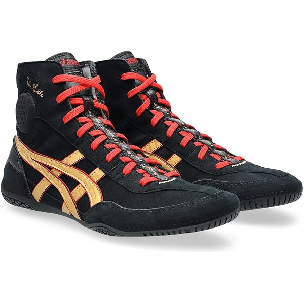 Amazon | 25.0cm アシックス ボクシングシューズ レスリング