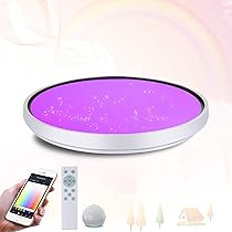 LEDシーリングライト スピーカー WiFi Bluetooth リモコン付 LED シーリングライト Bluetooth 10畳 8畳 スピーカー内蔵