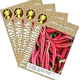 唐辛子 Thai Cayenne pepper Capsicum annuum Var acuminatum Fingerh 4 Bulk ThailandMrk