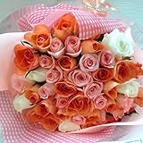 ほんまもん屋 ギフト ミックスカラー ブーケ バラ５０本の花束 キュート