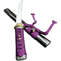 61m-MZOLfGL._AC_UL210_SR210,