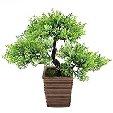 GTidea 人工観葉植物 松 アーティフィシャルフラワー 瑞々しい フェイクグリーン　H9.5cm鉢植え 木製感じの鉢（茶褐色）プレゼント 父の日 敬老の日