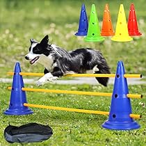 犬用　小型犬　ドッグアジリティ　５点セット 楽天市場】ドッグアジリティ トレーニング 5点セット 練習用