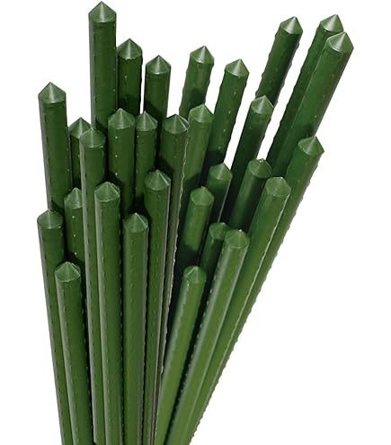 オリジナル 園芸用 イボ付き 鋼管 支柱 200本入り 11mm×90cm Amazon | 支柱 園芸 90cm 直径11mm 200本1組 イボ付 鋼管製 トマト