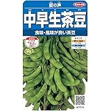 サカタのタネ 実咲野菜7374 中早生茶豆 夏の声 00927374