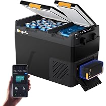 Amazon.co.jp: 【リン酸鉄バッテリー内蔵可能・専用バッテリー 1 個