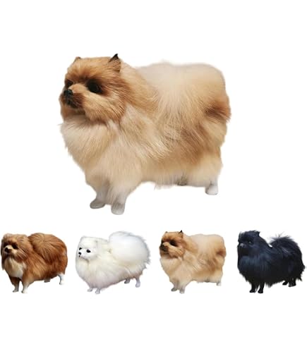 Amazon.co.jp: ポメラニアン人形フリーズパピーぬいぐるみ俊介犬動物犬