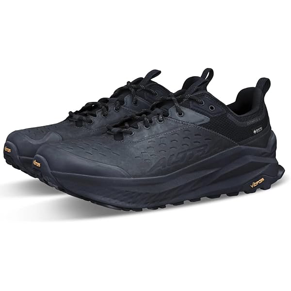 Amazon | ALTRA(アルトラ) OLYMPUS 6 HIKE LOW GTX Men US8.5