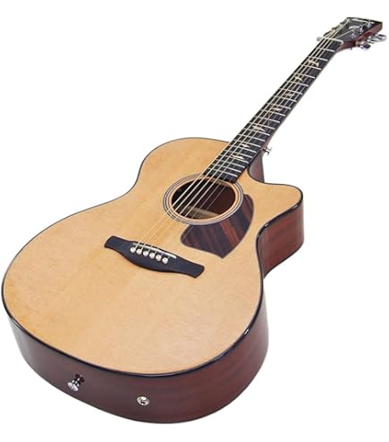 Amazon | アイバニーズ Ibanez PN12MHE エレアコ アコースティック