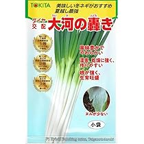 Amazon.co.jp: トキタ種苗 ネギ 大河の轟きのタネ(たいがのとどろき