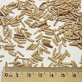 100％真のアデニウムObesum種子レインボー砂漠はホームガーデン1PCSのための種子盆栽の植物の種子をローズ