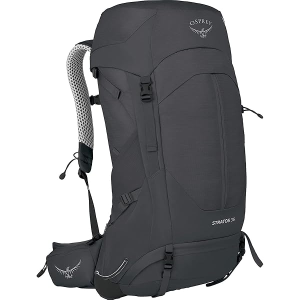 Amazon.co.jp: Osprey Stratos 44L メンズ ハイキングバック