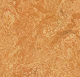 Forbo Marmoleum Realシートフローリング5平方ヤードto beカットの6 ' 5 " Wide Roll – からiDecor。(チェックサイズのイメージ) – Sahara 317