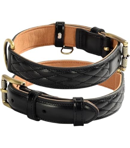 Amazon | コーチ 犬の首輪 COACH アウトレット シグネチャー