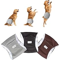 61mCuTCS37L._AC_UL210_SR210,