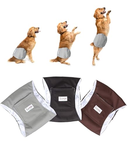 Amazon.co.jp: P.one 男の子のためのマナーホルダー3Lサイズ : ペット用品