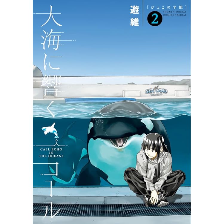 Amazon.co.jp: 大海に響くコール (3) (ゲッサン少年サンデーコミックス