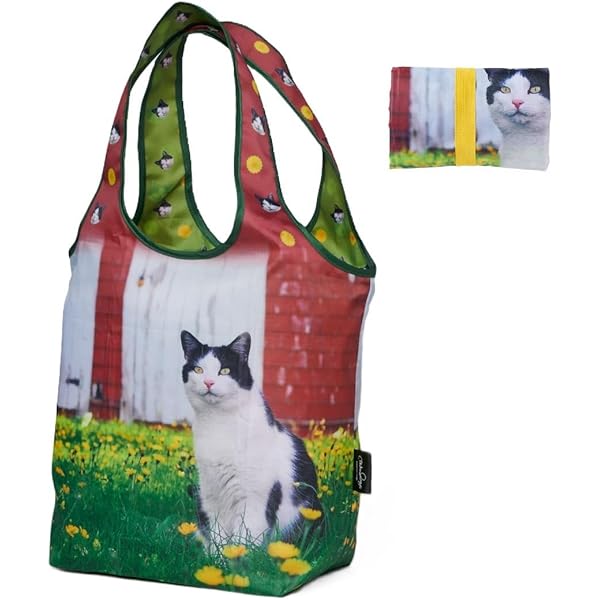 Amazon.co.jp: ねこのきもち 岩合光昭 「ねこ22」 ホーマー