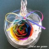 【高級プリザーブドフラワー】オランダ輸入生花*レインボーローズのプリザーブドフラワーウサギドーム　　誕生日 母の日　結婚記念日　結婚祝い　卒業祝い　出産祝い　プレゼント