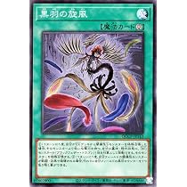 Amazon.co.jp: 遊戯王カード 黒羽の旋風(スーパーレア) QUARTER 