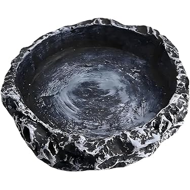 ぽん　爬虫類水入れ　10個セット ぽん 爬虫類水入れ 10個セット 楽天市場】爬虫類 水入れの通販