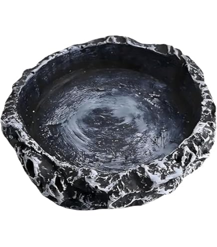 Amazon | 爬虫類 水入れ 8*8*2cm 爬虫類 餌入れ 樹脂爬虫類水皿