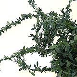 人形用 ドールハウス用 人工 造花 観葉植物 アートグリーン ツタの葉 アイビーガーランド DIY 手作り 500cm