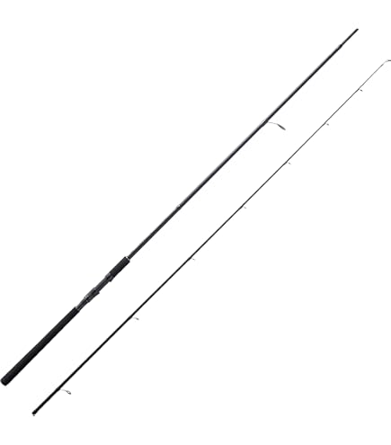 Amazon | AbuGarcia (アブガルシア) ソルティースタイル ショアジギ