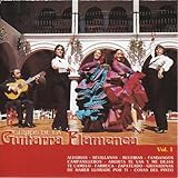 Guitarra Flamenca Vol.1