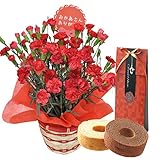 母の日 花とスイーツ ギフト カーネーション 鉢植え 5号鉢 レッド グランミリオン バームクーヘン セット　プレゼント 用 ギフト ボックスでお届け