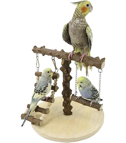 Amazon.co.jp: 鳥止まり木 天然木 スタンド インコ オウム 文鳥 鳥