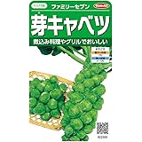 Amazon タキイ種苗 アイスプラント 花