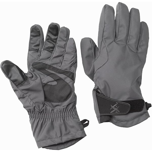 Amazon | [ザノースフェイス] ウォールライドFLグローブ ユニ