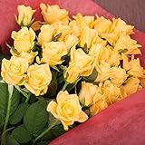 バラギフト専門店のマミーローズ 選べるバラ本数セレクト 還暦祝い 誕生日 プロポーズ 贈り物の豪華なバラの花束(生花) 黄色 42本