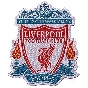 FIFA FUTSAL レフェリー 2006 エンブレム ワッペン 超レア FIFA FUTSAL レフェリー 2006 エンブレム ワッペン 超レア 2025